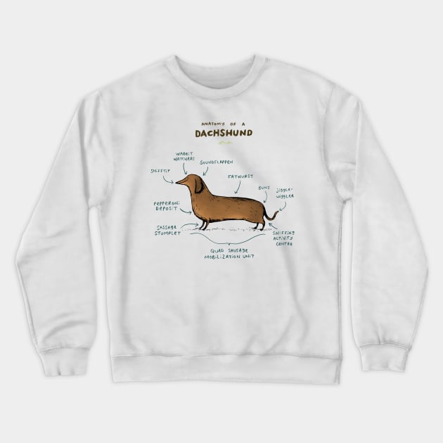 Anatomy of a Dachshund Crewneck Sweatshirt by Sophie Corrigan